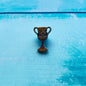 Pin Harry Potter Copa Hufflepuff